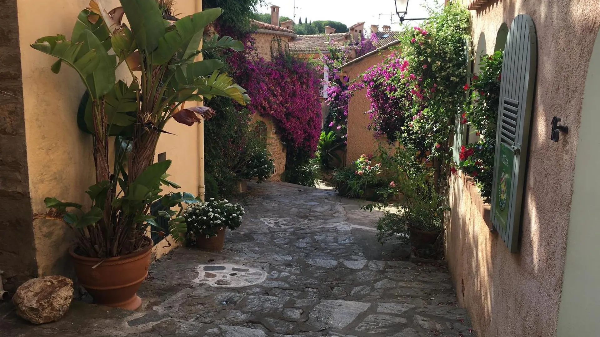 Appartement Studio 3 Pers Coeur De Village Bormes Les Mimosas France